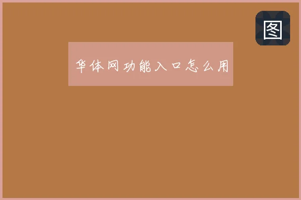 华体网功能入口怎么用
