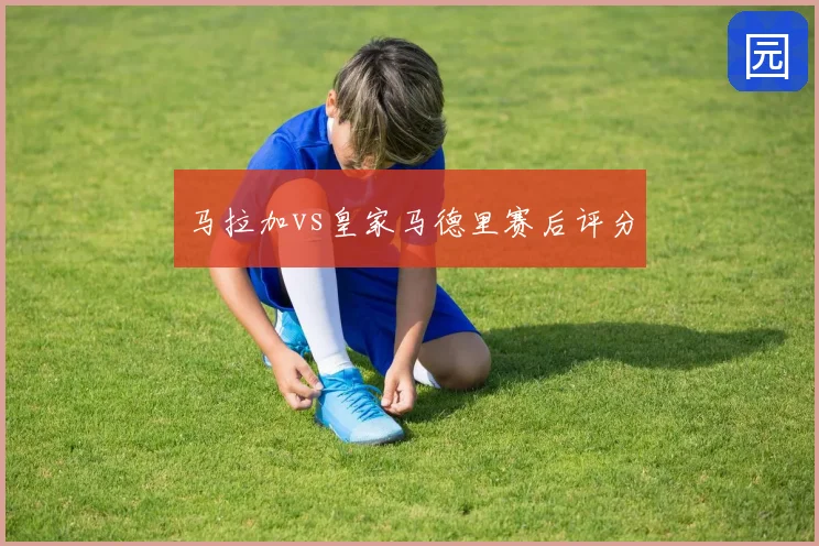 马拉加vs皇家马德里赛后评分